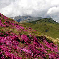 landscape from Bucegi Mountains-Romania