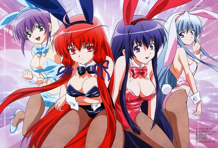 Bunny Girls - anime, girls, sexy, bunny