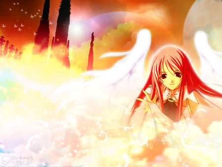 Afternoon angel - anime, wings, girl, angel