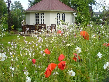 spring garden - red, green, meadow, flowers, garden, poppies, spring