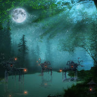 NIGHT FOREST RIVER