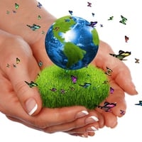 Earth In Our Hands