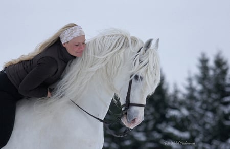 Having A Good Time - white, horses, spanish, snow, winter, andalusian