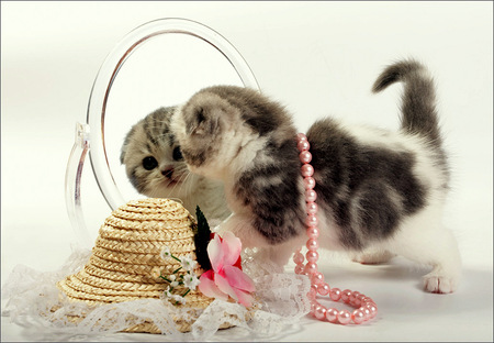 Girly Girl - hat, pearls, mirror, kitten, cat