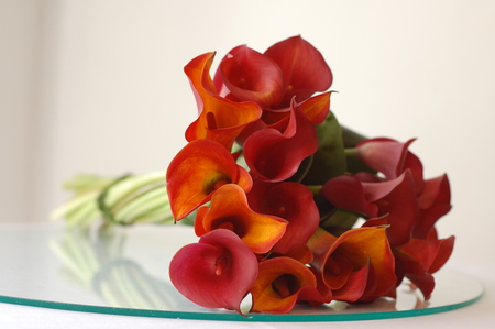 Bouquet - calla, elegantly, beautiful, photography, photo, cool, flower, bouquet, harmony, flowers, nice, gently