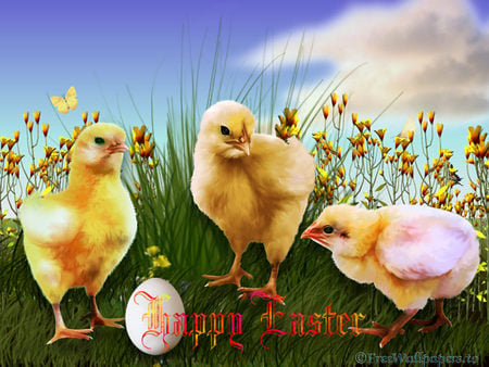 Easter chicks - chick, holiday, animal, easter, egg