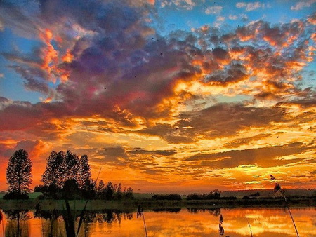 Evening serenity - reflections, trees, shore, sunset, water, gold and orange clouds