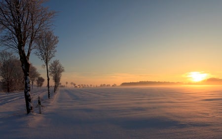 German Winter Sunset - trees, winter, beautiful, snow, colors, sunsets, nature, clear, field, golden, sky, rural