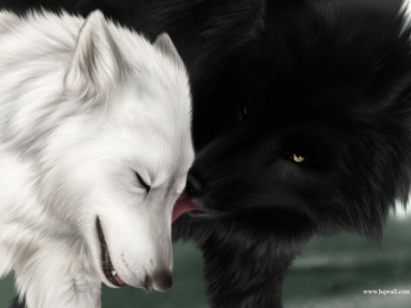 For My Sweet Friend Nannouk - bonded, loyalty, eyes, friendship, love, affection, wolves, soul mates, black, white, wild