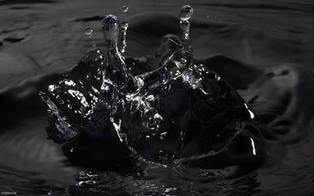 Black Water - black, drops, white, water