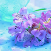 Bouquet of Irises