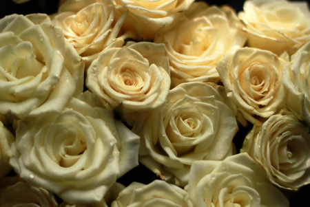 Beautiful roses - roses, beauty, flowers, bouquet, yellow