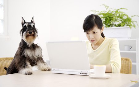 Emailing - lantop, dog, puppy, people