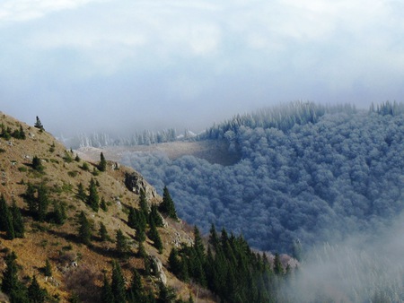 Landscape - nature, sky, landscape, trees, blue, fog, green, mountains