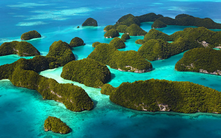 Palau Paradise