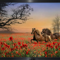 poppies and horses