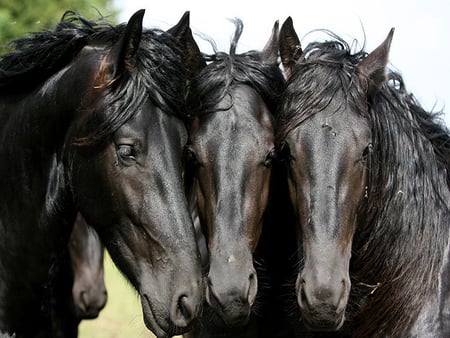 three-buddy friends