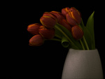 tulips vase