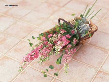 flowers basket - flowers, basket, white, beautiful, floor, pink