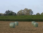 BALES OF BARLEY