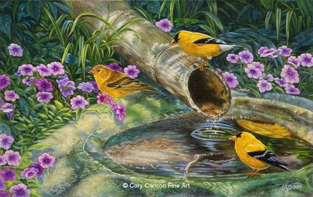 bird  bath - water, flowers, songbirds, grass, ground, birds