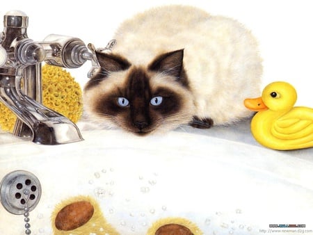 Mortimer Anne painting * Cat* - animal, duck, cat, drawing, art, toy, kitten, pet, feline, mortimer anne, painting