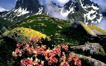 the high mountains - flowers, hills, nature, mountains, art, sky