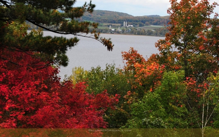 the season of fall - trees, hills, water, forest, fall, nature, season, lake, mountains, farm, art, sky