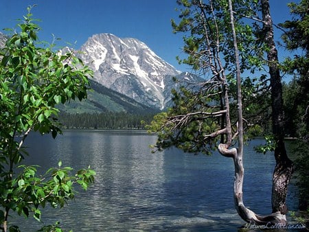 snow cap mountain - nature, lake, trees, snow, water, mountains