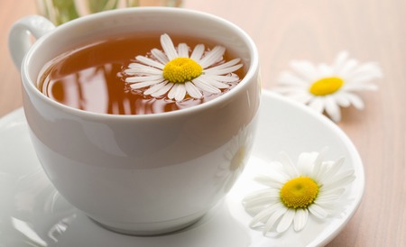 Daisy tea - daisy, morning, tea, saucer, flower, cup