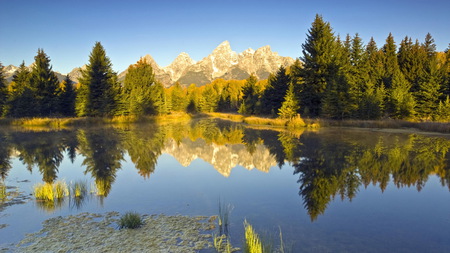 Schwalbacher Landing - lake, forest, mountain, beauty