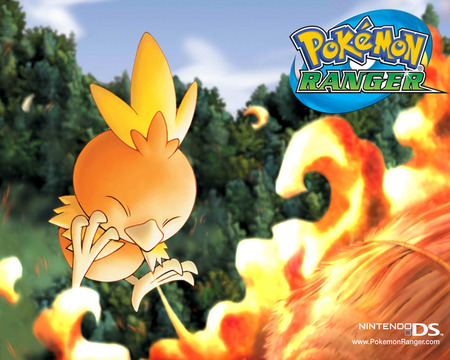 torchic - ranger, pokemon, fire, torchic