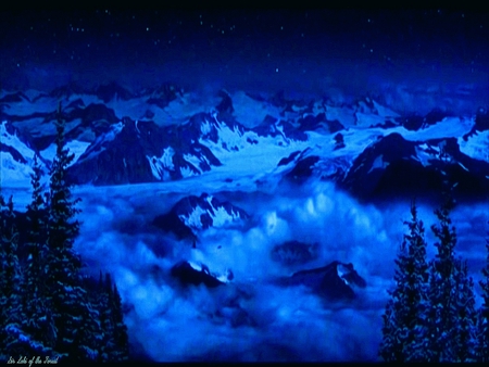 Top of the World - clouds, abstract, trees, snow, tranquil, night, stars, cg, mist, 3d, mountains, peaceful, solitude, sky