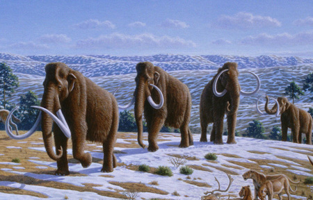 Woolly mammoth migration - prehistoric, elephant, mountain, dinosaur