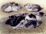 cat and kittens