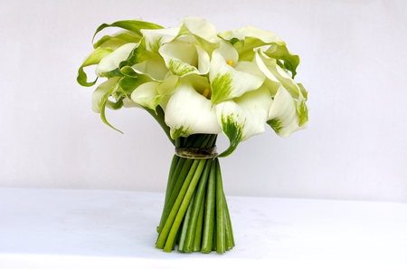 Bouquet - calla, elegantly, beautiful, photography, photo, cool, flower, gentle, bouquet, harmony, flowers, white, nice