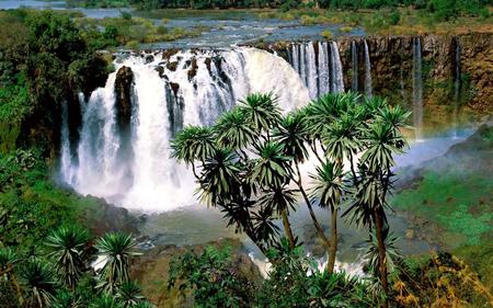 Waterfall - nature, flowers, trees, waterfall