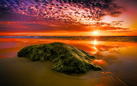 Alone - rock, reflection, lovely, beach, sunset