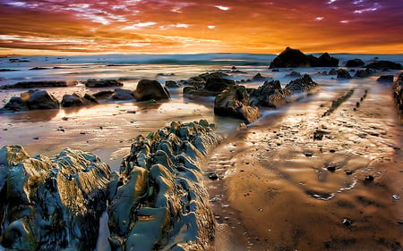 Just Awesome - beach, golden, texture, sunrise, rocks