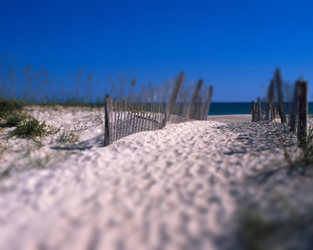 invitation - beach, sand, nature, beauty