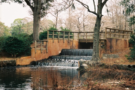 Greenfield Lake Spillway - lakes, nature, waterfall, north carolina