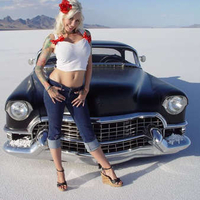 Pinup Saltflats Hottie