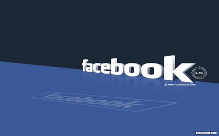 FaceBook - facebook, social networking, cool, logo