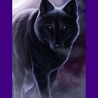 DARK WOLF