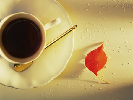 black coffee for my friends - black coffee, red leaf, beige, tableware, lovely, cup