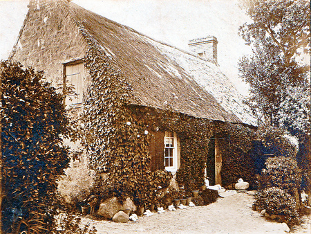 Old Cottage - white, cottage, brown, ancient, trees, beautiful, architecture, old