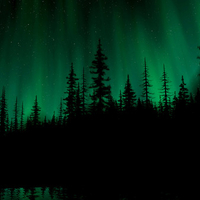 Aurora over the dark Forest