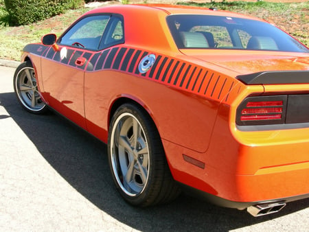 Mr. Norms Super Cuda 2009