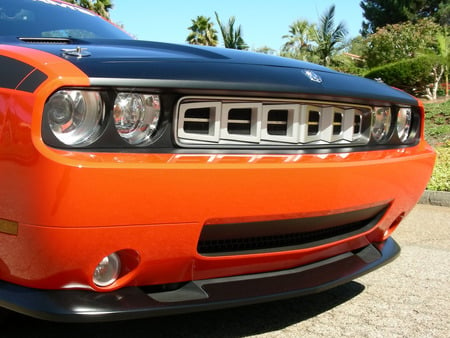 Mr. Norms Super Cuda 2009 - super cuda, 2009