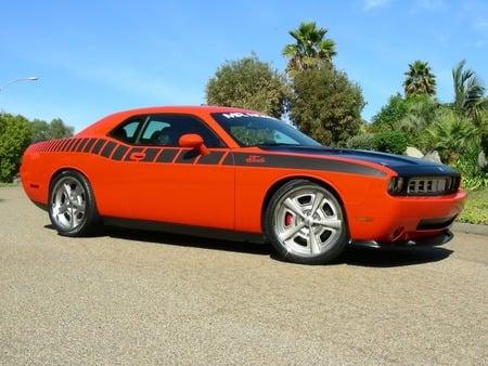 Mr. Norms Super Cuda 2009 - super cuda, 2009